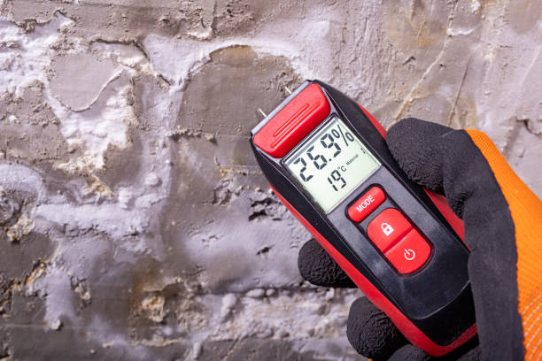 Best Best Mold Removal Companies  in Anthem, AZ